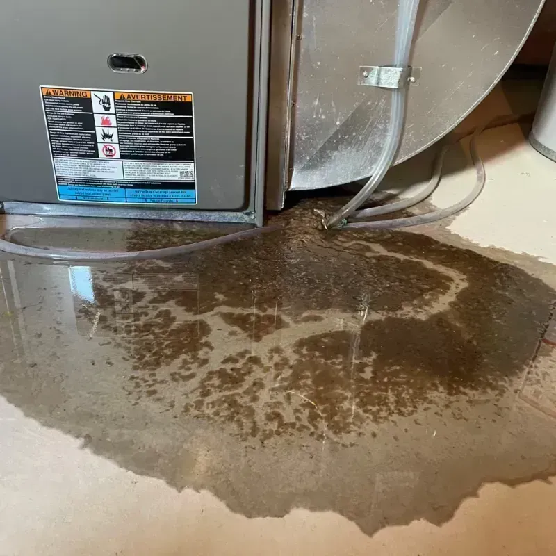 Appliance Leak Cleanup in Hagerstown, MD